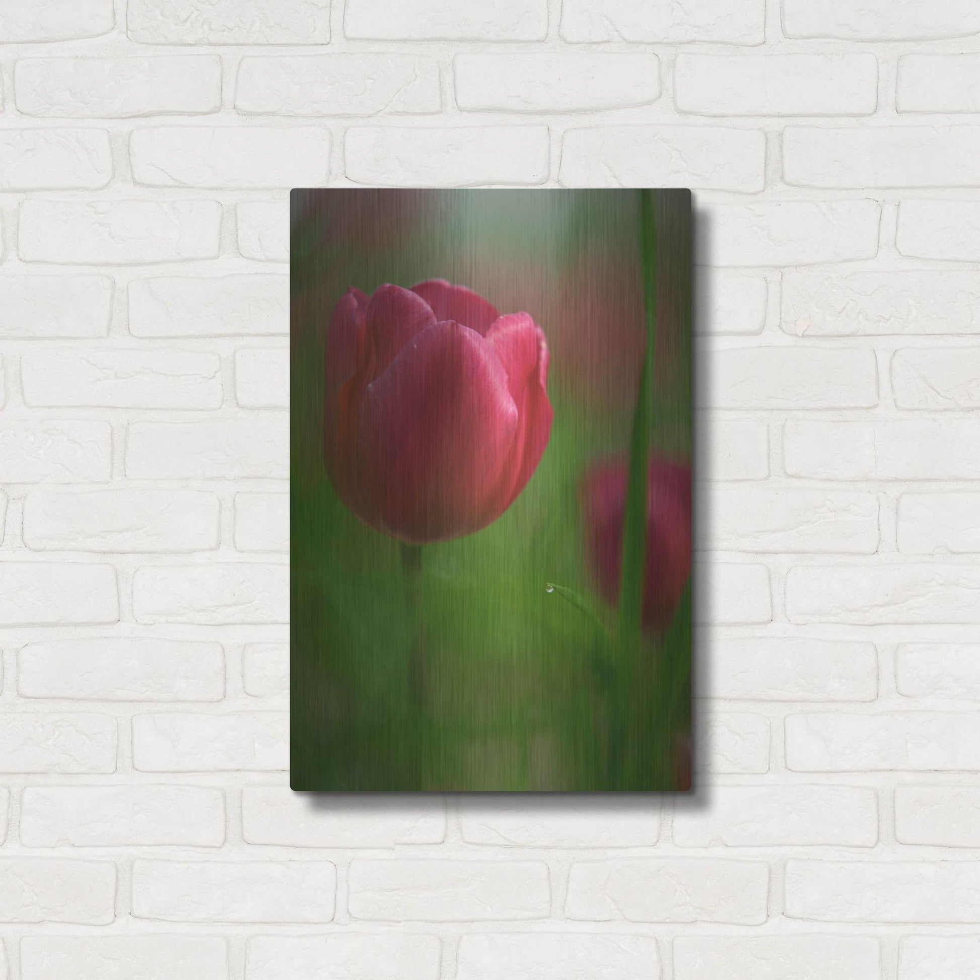 Luxe Metal Art 'Tulip No 2' by Istvan Nagy, Metal Wall Art,16x24