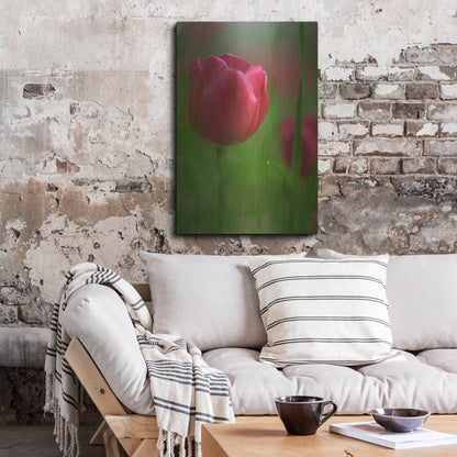 Luxe Metal Art 'Tulip No 2' by Istvan Nagy, Metal Wall Art,24x36