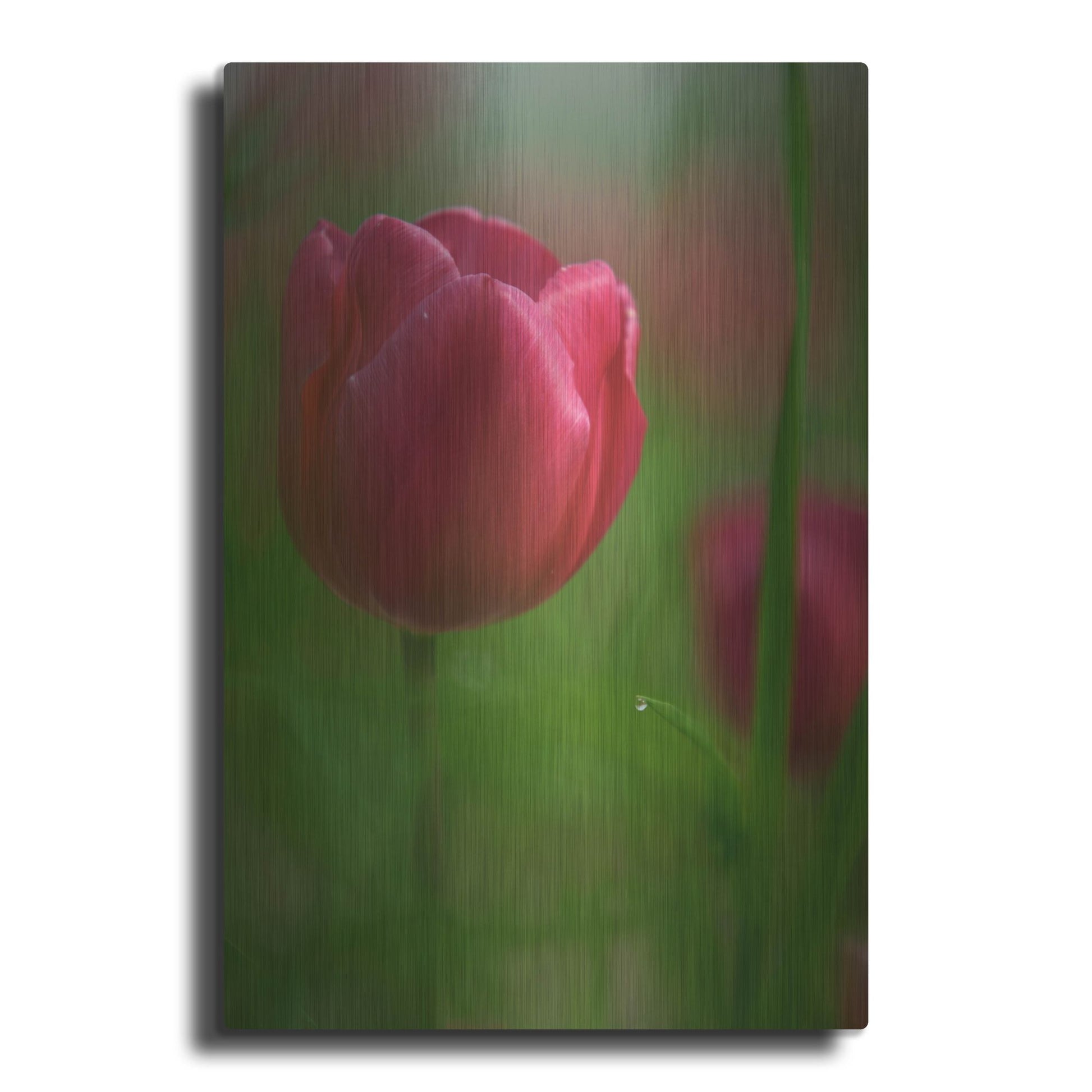 Luxe Metal Art 'Tulip No 2' by Istvan Nagy, Metal Wall Art