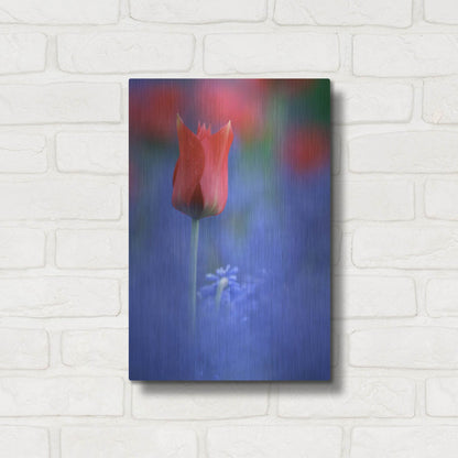 Luxe Metal Art 'Tulip No 3' by Istvan Nagy, Metal Wall Art,12x16