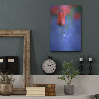 Luxe Metal Art 'Tulip No 3' by Istvan Nagy, Metal Wall Art,12x16