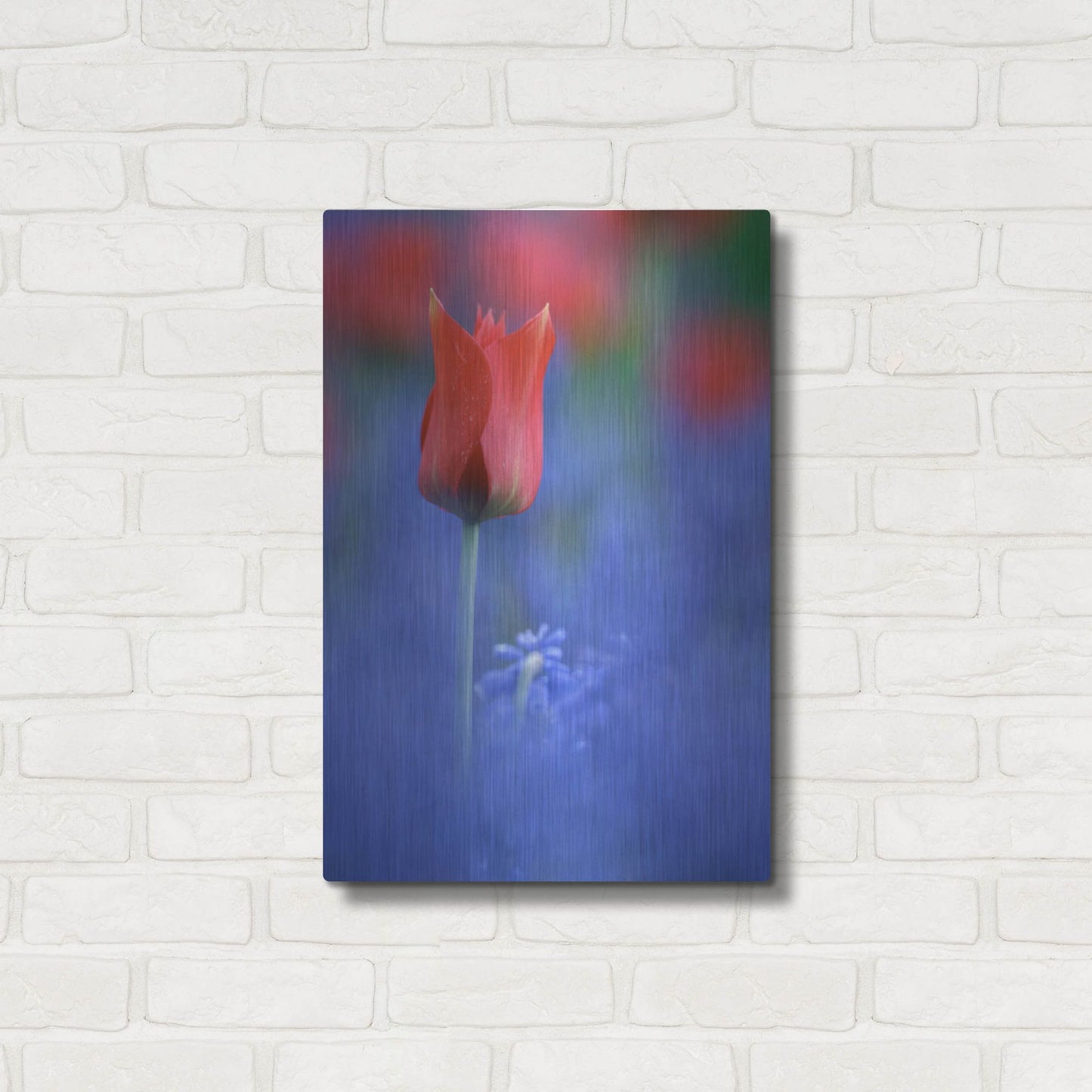 Luxe Metal Art 'Tulip No 3' by Istvan Nagy, Metal Wall Art,16x24