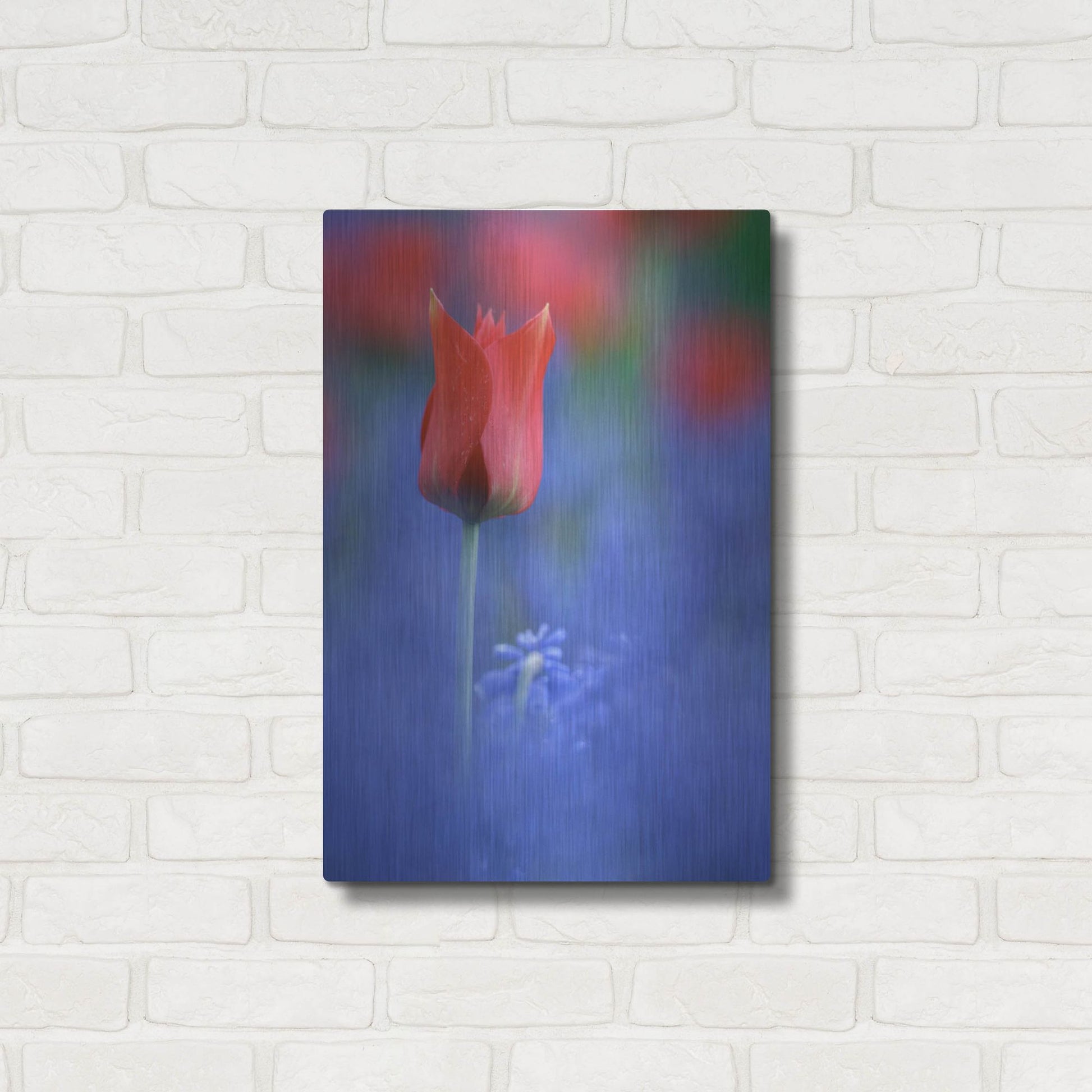 Luxe Metal Art 'Tulip No 3' by Istvan Nagy, Metal Wall Art,16x24