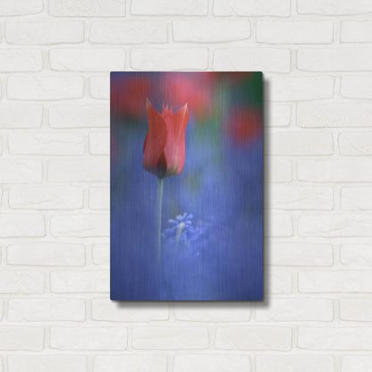 Luxe Metal Art 'Tulip No 3' by Istvan Nagy, Metal Wall Art,16x24