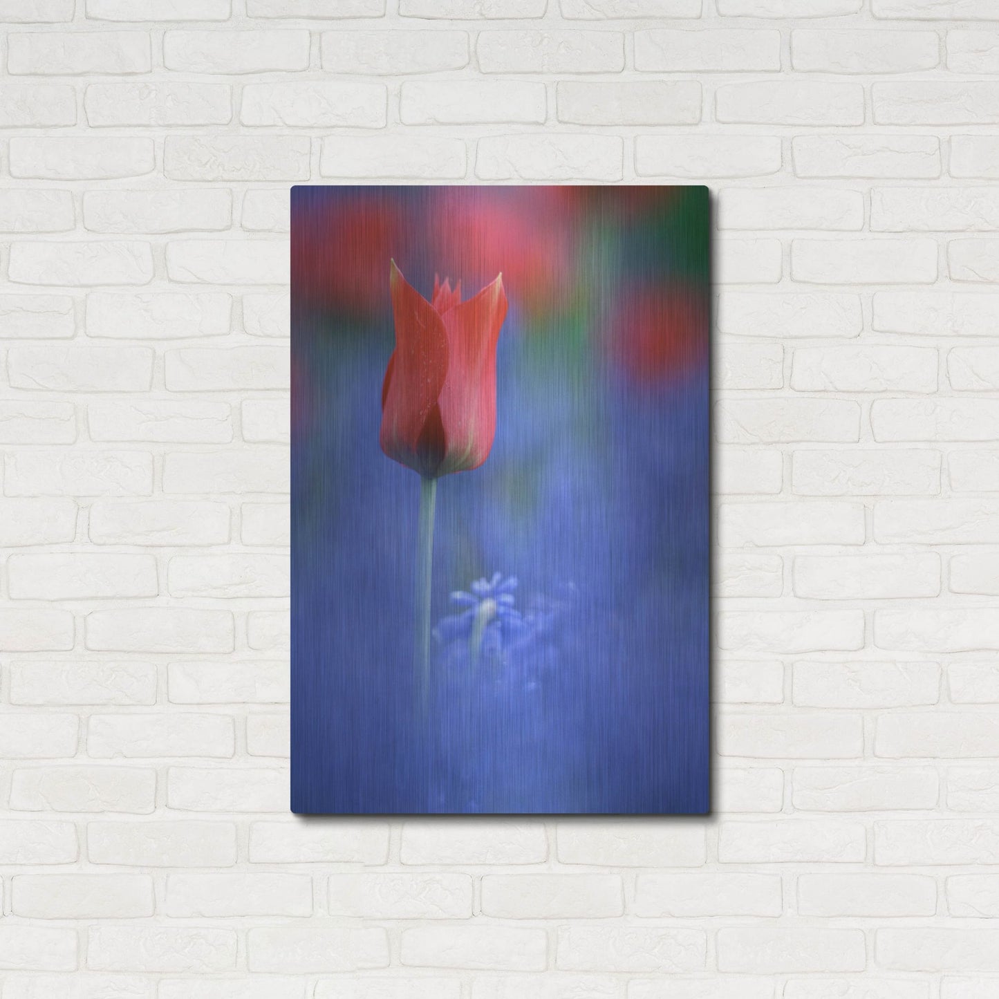 Luxe Metal Art 'Tulip No 3' by Istvan Nagy, Metal Wall Art,24x36