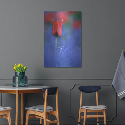 Luxe Metal Art 'Tulip No 3' by Istvan Nagy, Metal Wall Art,24x36