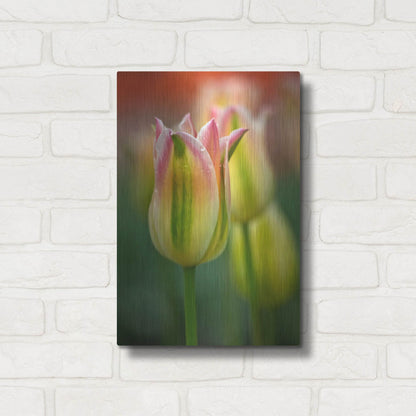 Luxe Metal Art 'Tulip No 4' by Istvan Nagy, Metal Wall Art,12x16
