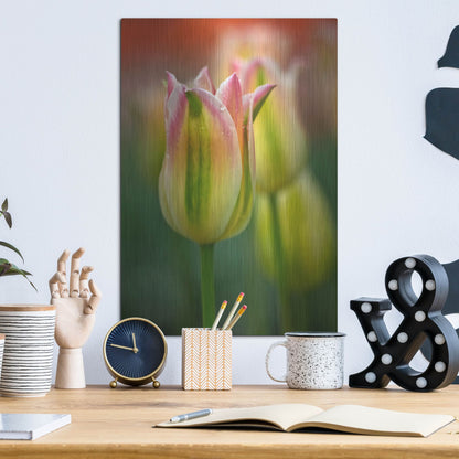 Luxe Metal Art 'Tulip No 4' by Istvan Nagy, Metal Wall Art,12x16