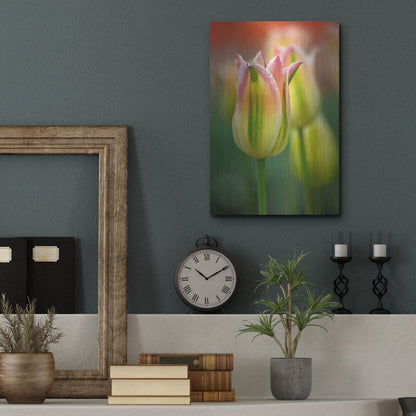 Luxe Metal Art 'Tulip No 4' by Istvan Nagy, Metal Wall Art,12x16
