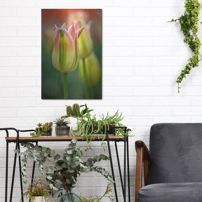 Luxe Metal Art 'Tulip No 4' by Istvan Nagy, Metal Wall Art,12x16