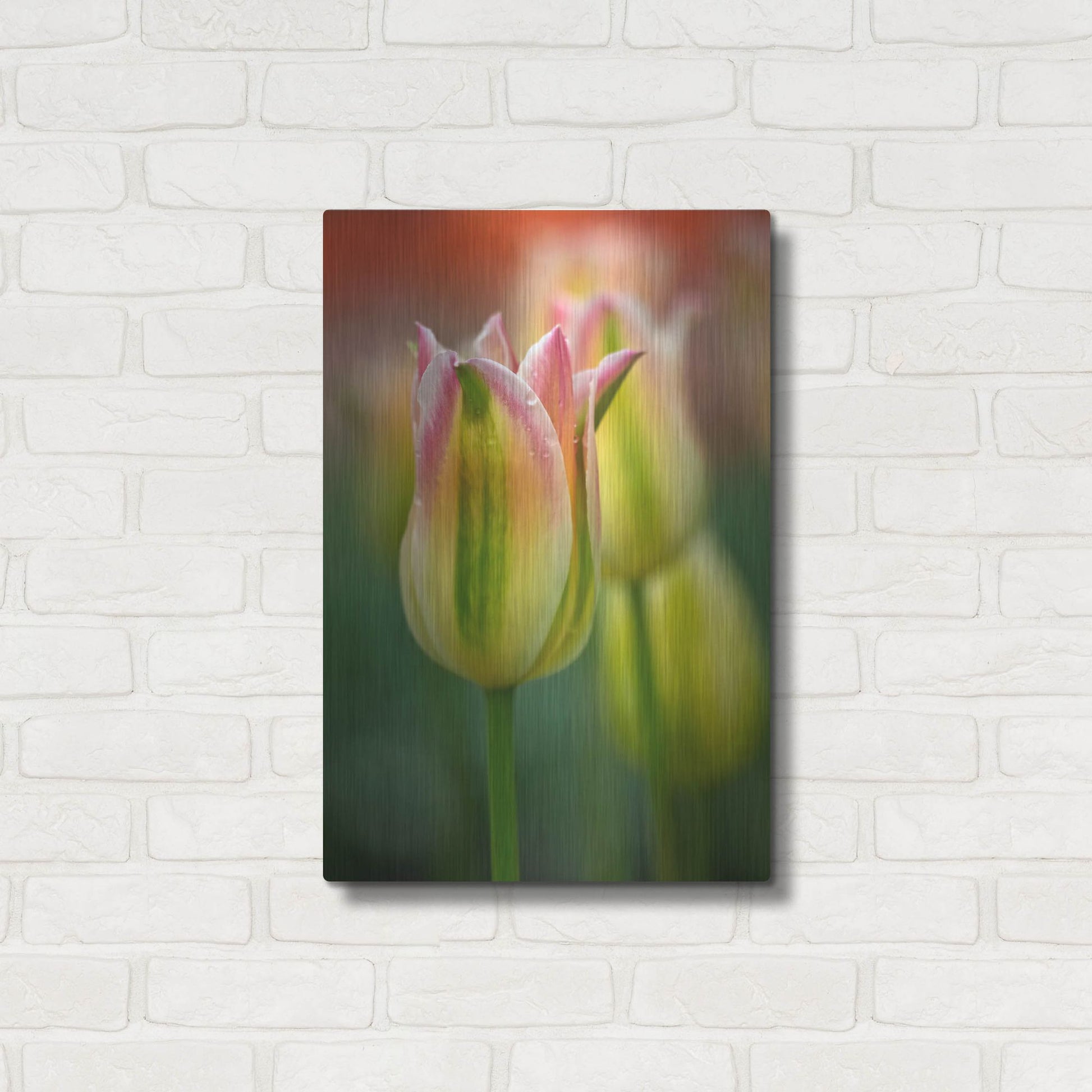 Luxe Metal Art 'Tulip No 4' by Istvan Nagy, Metal Wall Art,16x24