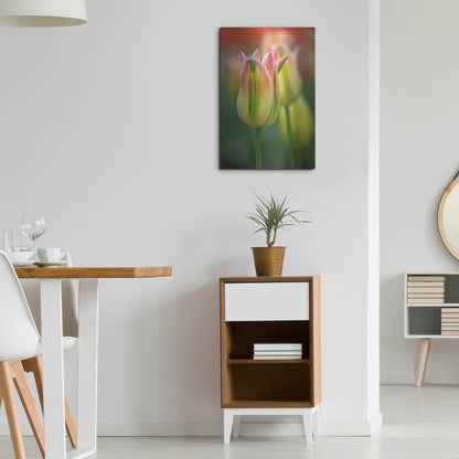 Luxe Metal Art 'Tulip No 4' by Istvan Nagy, Metal Wall Art,16x24