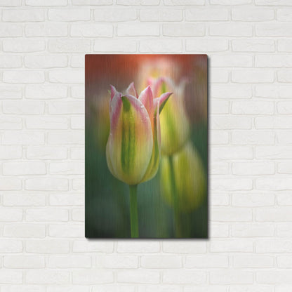 Luxe Metal Art 'Tulip No 4' by Istvan Nagy, Metal Wall Art,24x36