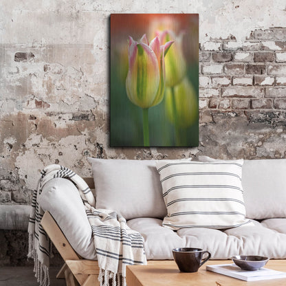 Luxe Metal Art 'Tulip No 4' by Istvan Nagy, Metal Wall Art,24x36