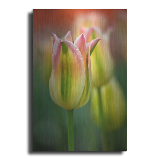 Luxe Metal Art 'Tulip No 4' by Istvan Nagy, Metal Wall Art