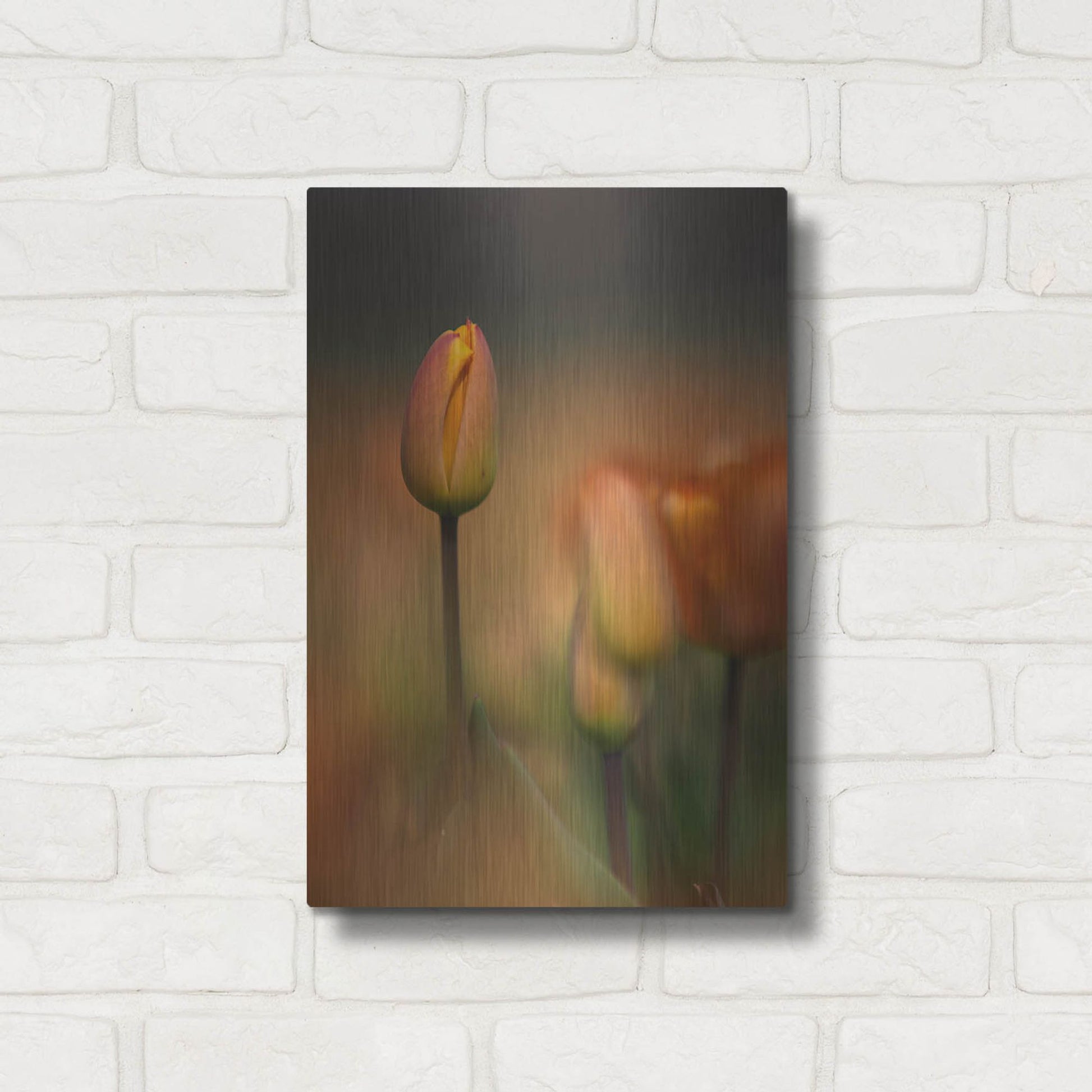 Luxe Metal Art 'Tulip No 5' by Istvan Nagy, Metal Wall Art,12x16