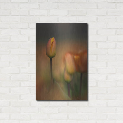 Luxe Metal Art 'Tulip No 5' by Istvan Nagy, Metal Wall Art,24x36