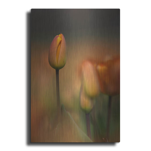 Luxe Metal Art 'Tulip No 5' by Istvan Nagy, Metal Wall Art