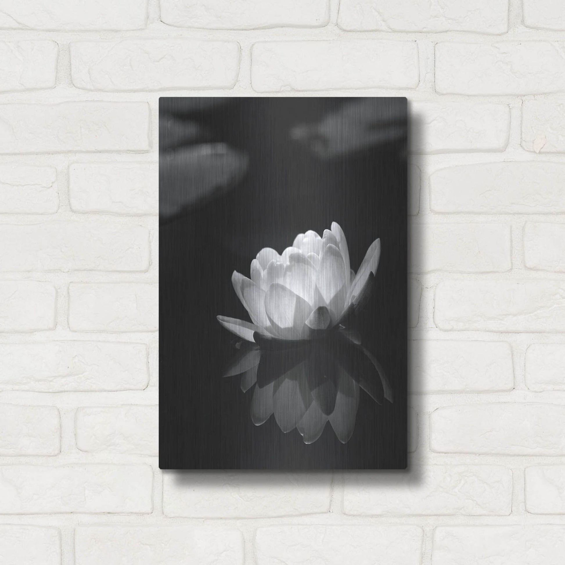 Luxe Metal Art 'Water Lily BW' by Istvan Nagy, Metal Wall Art,12x16