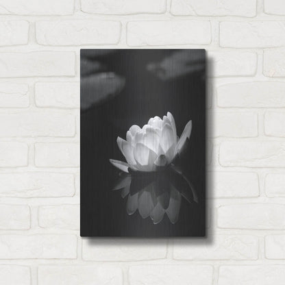 Luxe Metal Art 'Water Lily BW' by Istvan Nagy, Metal Wall Art,12x16