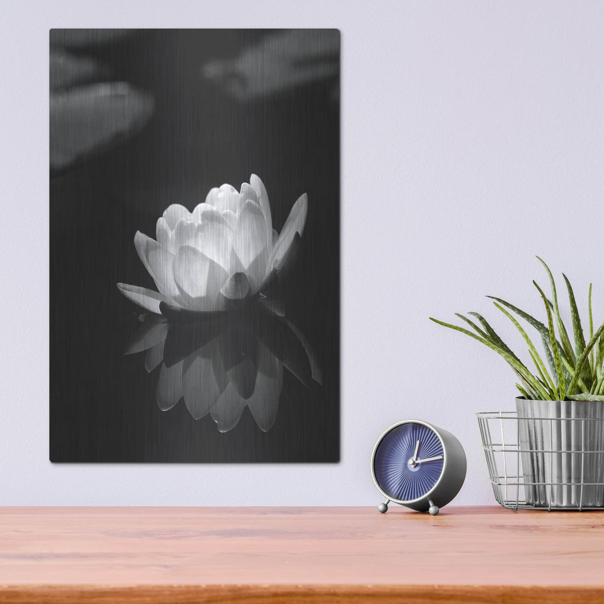 'Water Lily BW' by Istvan Nagy – Metal Wall Art, 12x16 room view