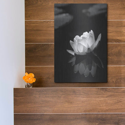 Luxe Metal Art 'Water Lily BW' by Istvan Nagy, Metal Wall Art,12x16