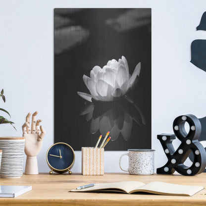 Luxe Metal Art 'Water Lily BW' by Istvan Nagy, Metal Wall Art,12x16