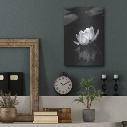 Luxe Metal Art 'Water Lily BW' by Istvan Nagy, Metal Wall Art,12x16