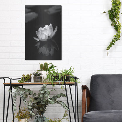 Luxe Metal Art 'Water Lily BW' by Istvan Nagy, Metal Wall Art,12x16