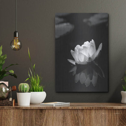 Luxe Metal Art 'Water Lily BW' by Istvan Nagy, Metal Wall Art,12x16