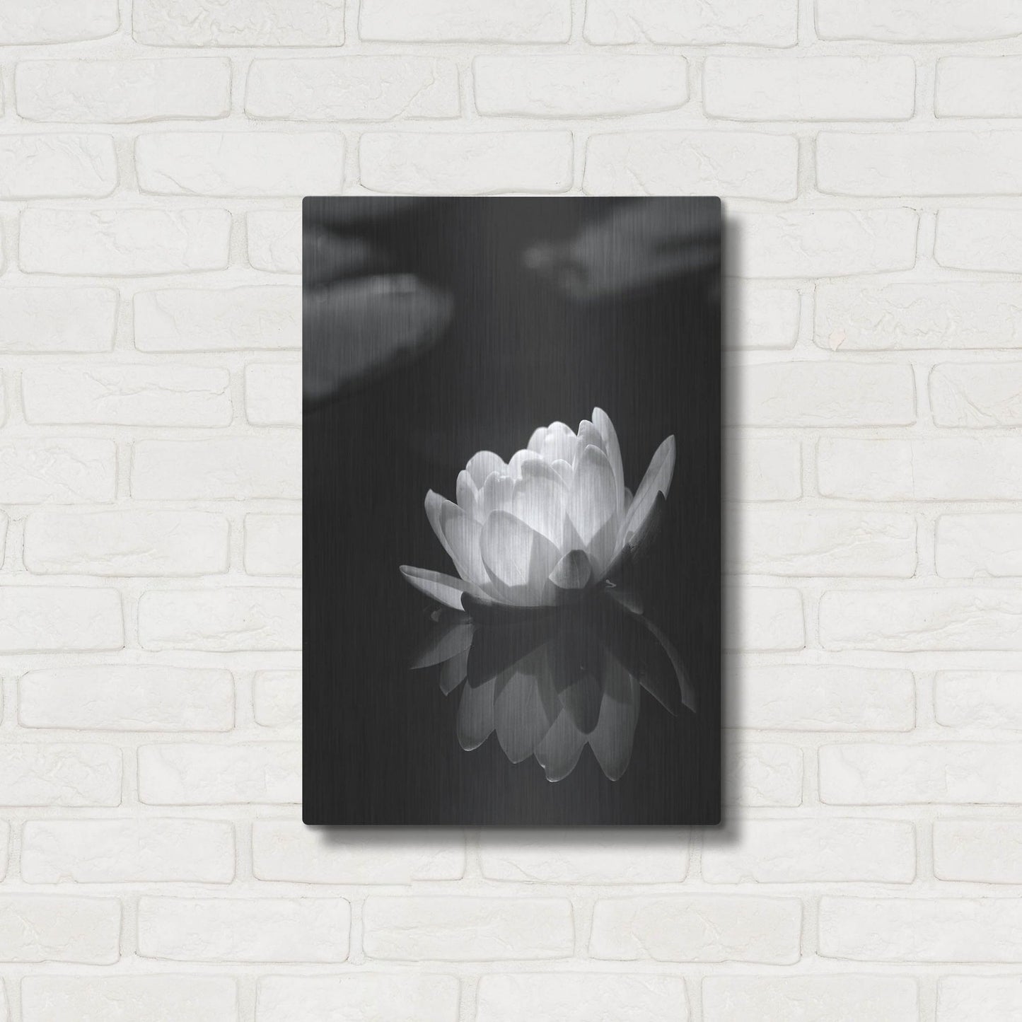 Luxe Metal Art 'Water Lily BW' by Istvan Nagy, Metal Wall Art,16x24