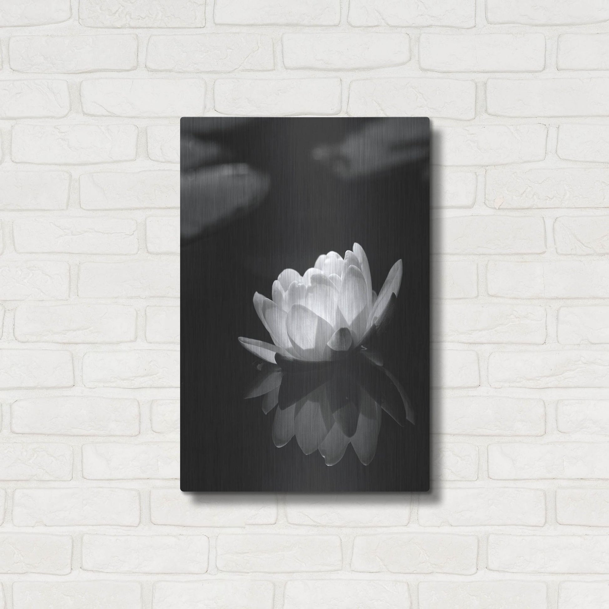 Luxe Metal Art 'Water Lily BW' by Istvan Nagy, Metal Wall Art,16x24