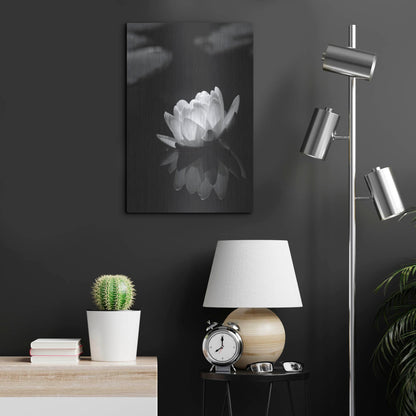 Luxe Metal Art 'Water Lily BW' by Istvan Nagy, Metal Wall Art,16x24