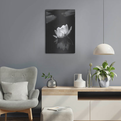 Luxe Metal Art 'Water Lily BW' by Istvan Nagy, Metal Wall Art,16x24