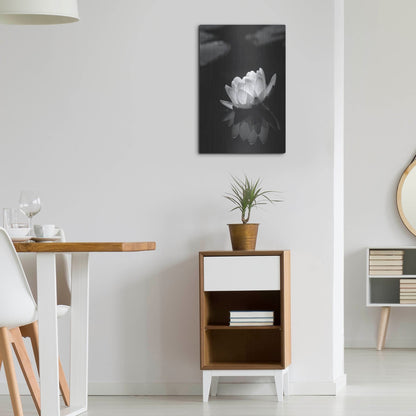 Luxe Metal Art 'Water Lily BW' by Istvan Nagy, Metal Wall Art,16x24