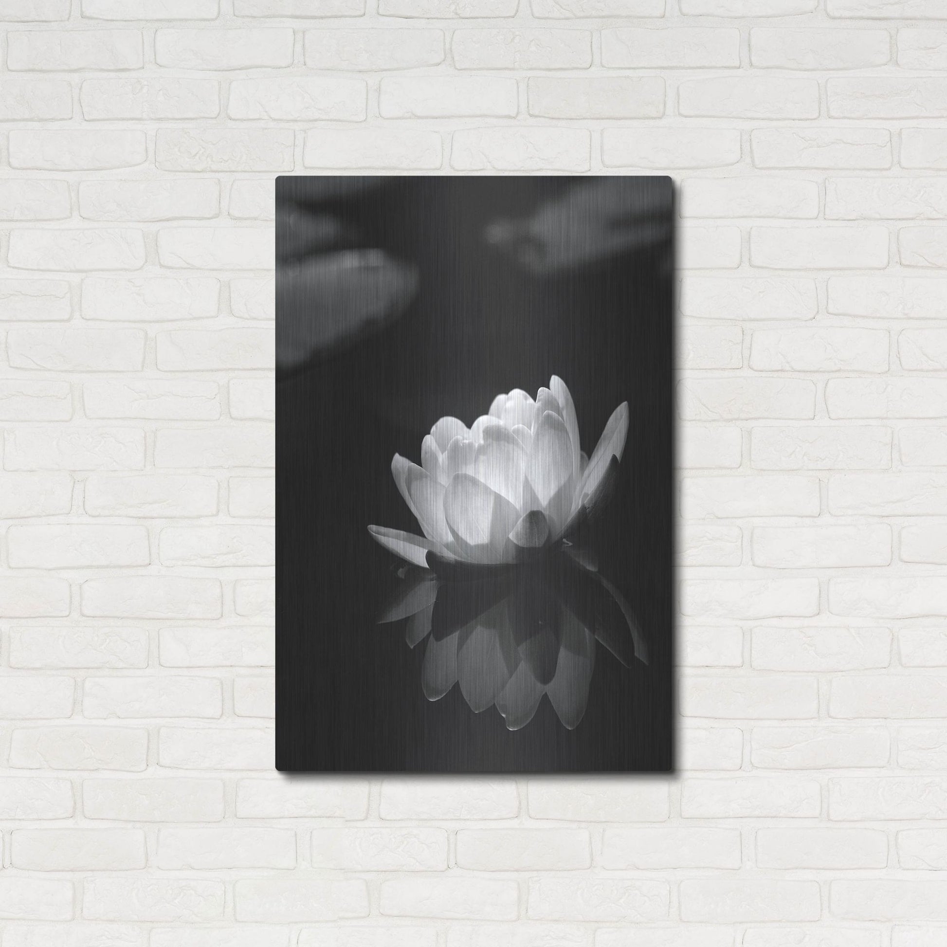 Luxe Metal Art 'Water Lily BW' by Istvan Nagy, Metal Wall Art,24x36