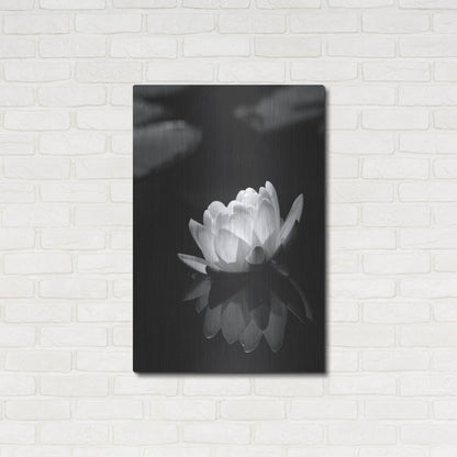 Luxe Metal Art 'Water Lily BW' by Istvan Nagy, Metal Wall Art,24x36