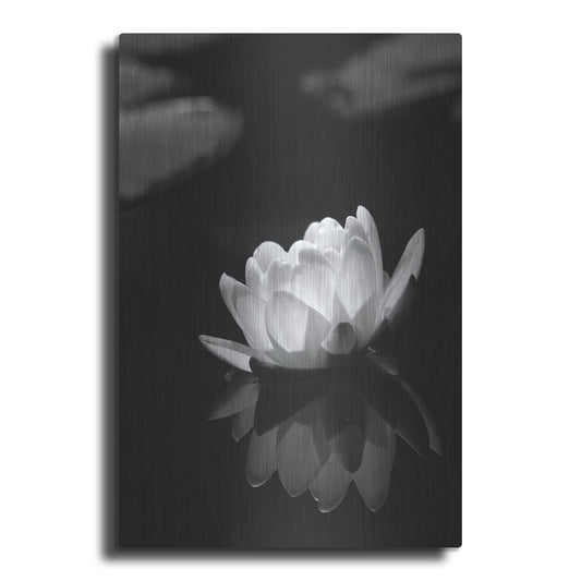 Luxe Metal Art 'Water Lily BW' by Istvan Nagy, Metal Wall Art