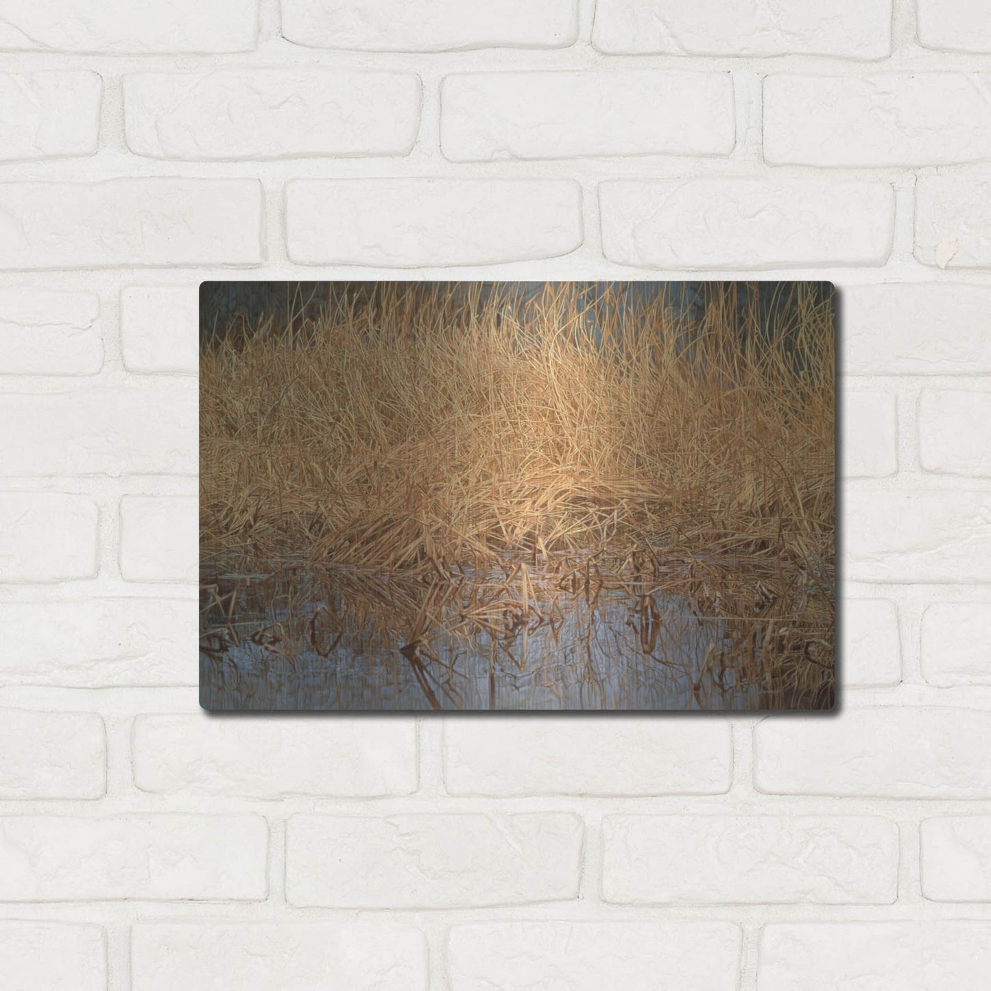 Luxe Metal Art 'Common Snipe' by Joh Naito, Metal Wall Art,16x12