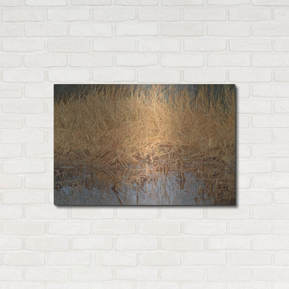 Luxe Metal Art 'Common Snipe' by Joh Naito, Metal Wall Art,36x24
