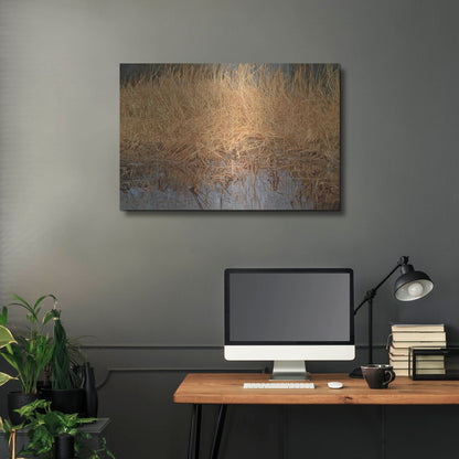 Luxe Metal Art 'Common Snipe' by Joh Naito, Metal Wall Art,36x24