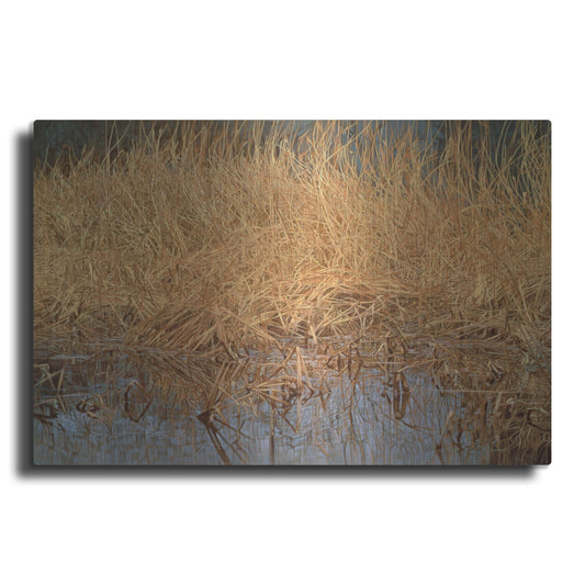 Luxe Metal Art 'Common Snipe' by Joh Naito, Metal Wall Art