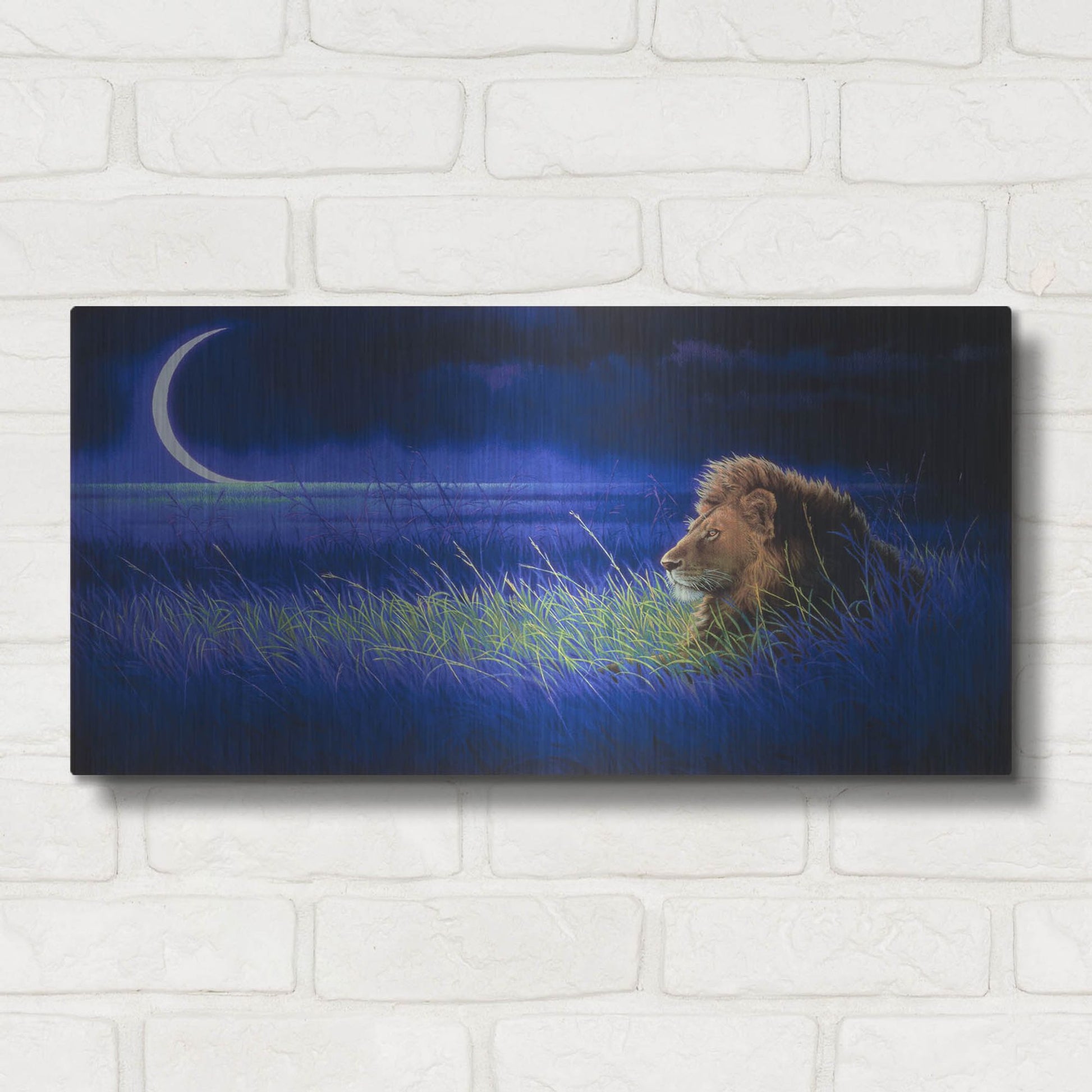 Luxe Metal Art 'Crescent' by Joh Naito, Metal Wall Art,24x12