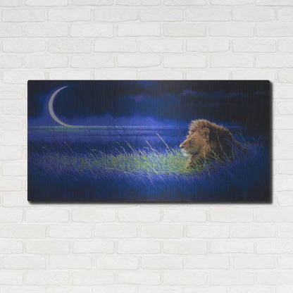 Luxe Metal Art 'Crescent' by Joh Naito, Metal Wall Art,48x24