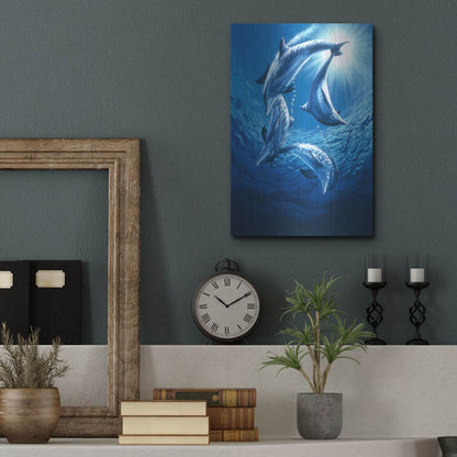 Luxe Metal Art 'Dolphin Swing' by Joh Naito, Metal Wall Art,12x16