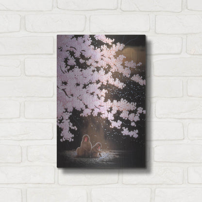 Luxe Metal Art 'Falling Cherry Blossoms' by Joh Naito, Metal Wall Art,12x16