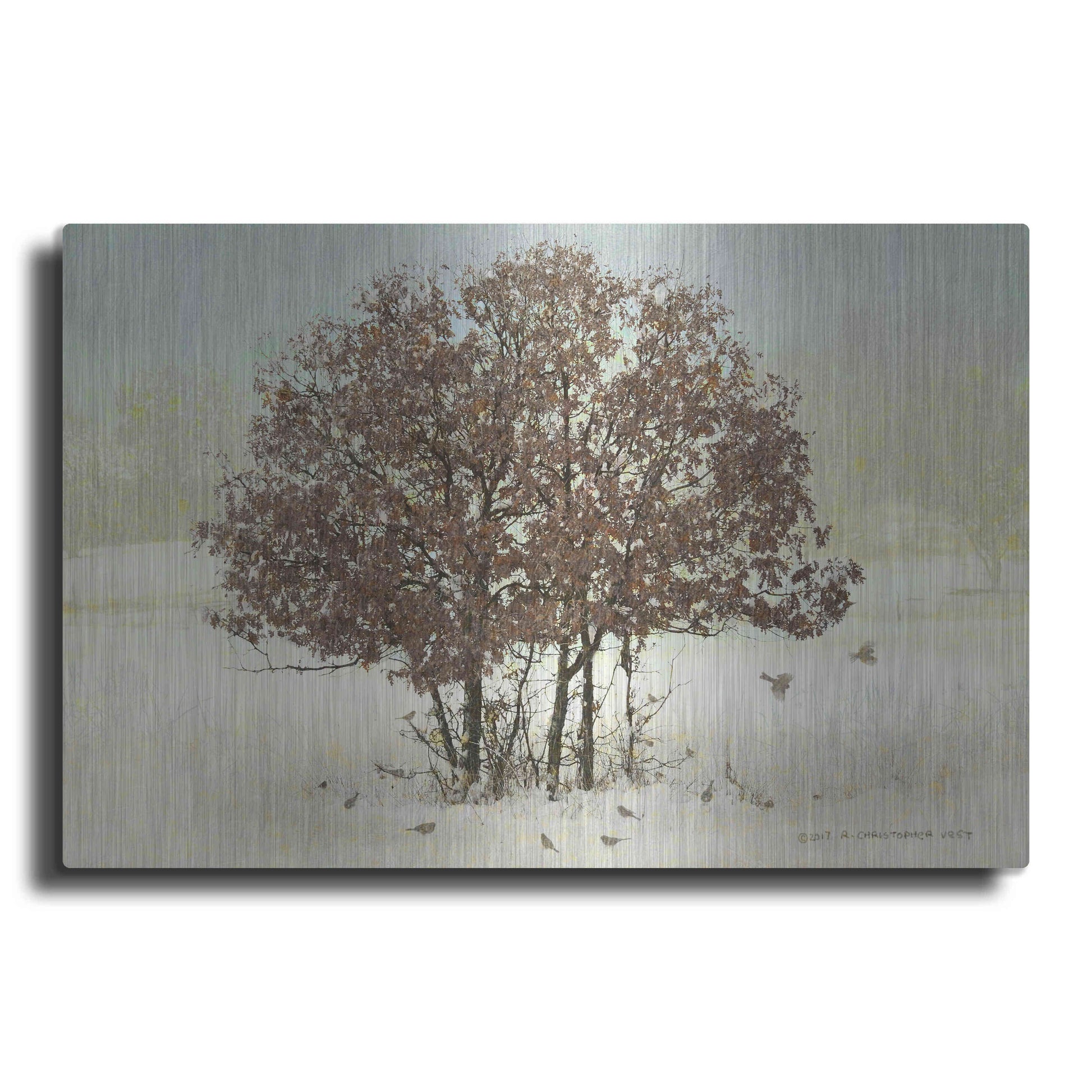 Luxe Metal Art 'Juncos and Oak' by Chris Vest, Metal Wall Art