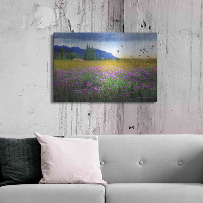 Luxe Metal Art 'Mesa Verde and Knapweed' by Chris Vest, Metal Wall Art,36x24