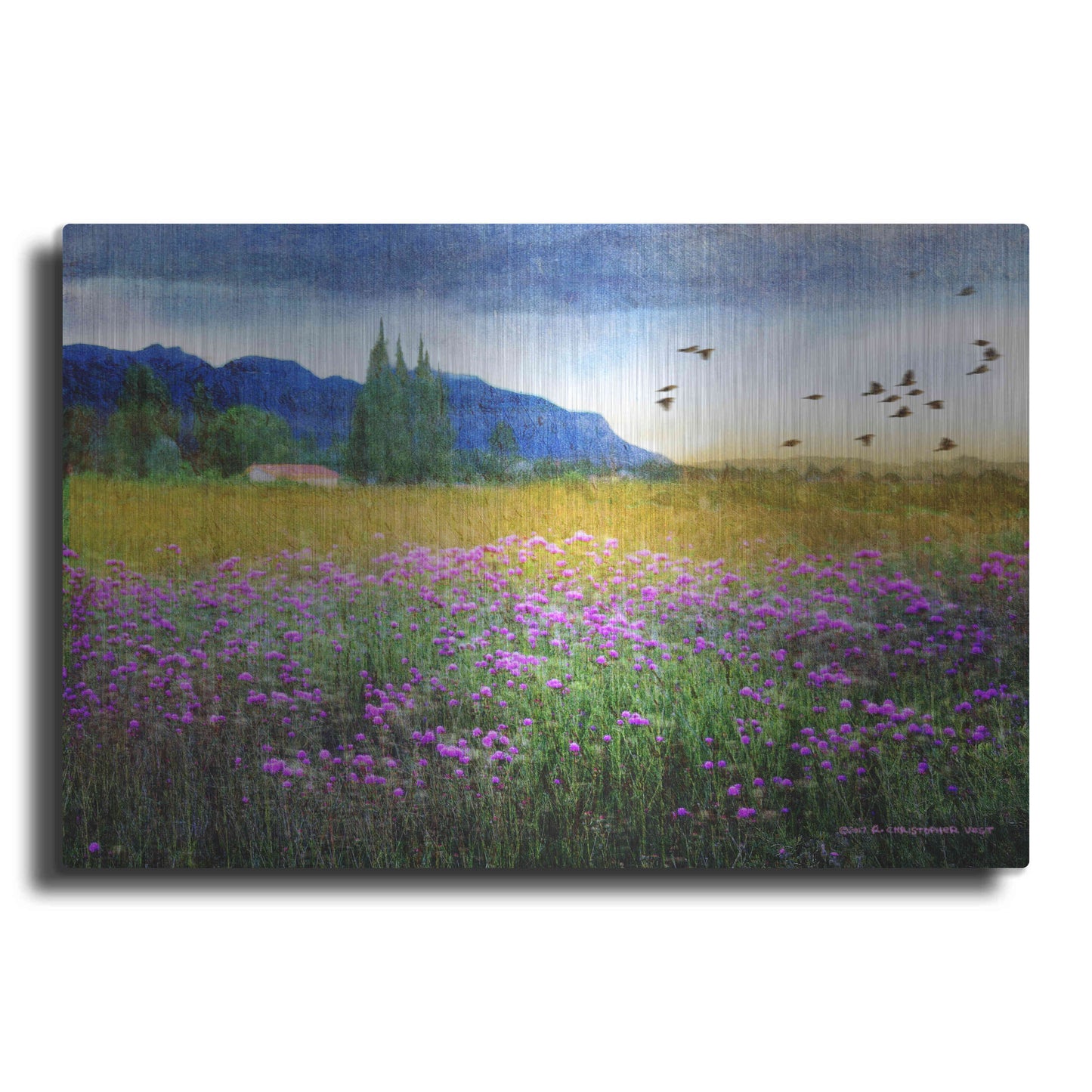 Luxe Metal Art 'Mesa Verde and Knapweed' by Chris Vest, Metal Wall Art