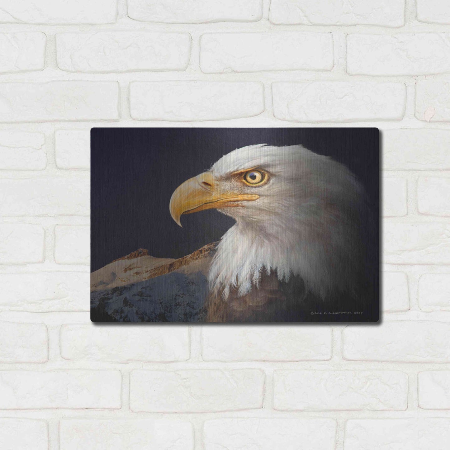 Luxe Metal Art 'Bald Eagle Study' by Chris Vest, Metal Wall Art,16x12